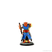 D&D Icons of the Realms: Premium Painted Figure - Dragonborn Sorcerer Female