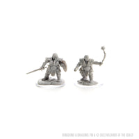 D&D Nolzur's Marvelous Miniatures: Dwarf Fighter Female