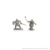 D&D Nolzur's Marvelous Miniatures: Dwarf Fighter Female
