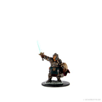 D&D Icons of the Realms: Premium Painted Figure - Dwarf Paladin Female