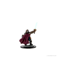 D&D Icons of the Realms: Premium Painted Figure - Dwarf Paladin Female
