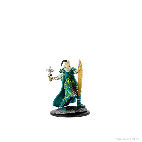 D&D Premium Painted Figure: W2 Female Human Druid, Table Top Miniatures