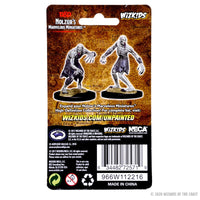 D&D Nolzur’s Marvelous Miniatures: Ghouls