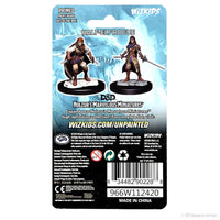 D&D Nolzur's Marvelous Miniatures: Half-Elf Rogue Female