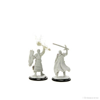 D&D Nolzur's Marvelous Miniatures: Half-Elf Paladin Male
