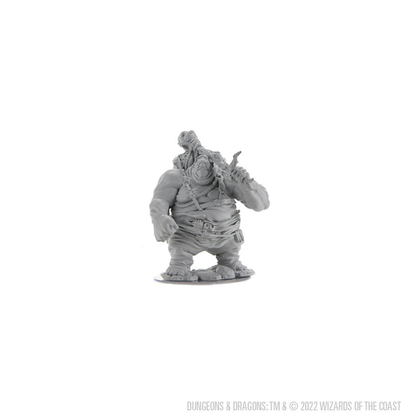D&D Nolzur's Marvelous Miniatures: Hill Giant – WizKids