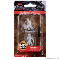 D&D Nolzur's Marvelous Miniatures: Male Human Druid