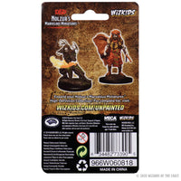 D&D Nolzur's Marvelous Miniatures: Male Human Druid