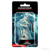D&D Nolzur's Marvelous Miniatures: Human Monk Female