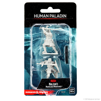 D&D Nolzur's Marvelous Miniatures: Human Paladin Male - 1