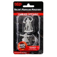 D&D Nolzur's Marvelous Miniatures - Male Human Wizard