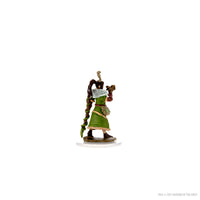 D&D Icons of the Realms Premium Figures: Female Human Druid