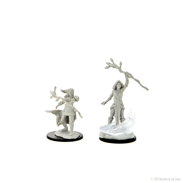 D&D Nolzur's Marvelous Miniatures: Male Human Druid – Shop Dungeon &  Dragons powered by WizKids