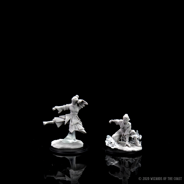 D&D Nolzur's Marvelous Miniatures - Female Human Monk – WizKids