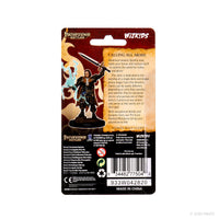 Pathfinder Battles: Premium Painted Figure - Human Cleric Male