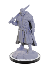 D&D Nolzur's Marvelous Miniatures: Loup Garou