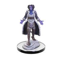 Critical Role Unpainted Miniatures: Lucien Tavelle & Cree Deeproots