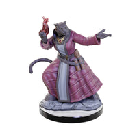 Critical Role Unpainted Miniatures: Lucien Tavelle & Cree Deeproots