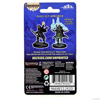 Pathfinder Deep Cuts: Elf Sorcerer Male