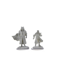 Critical Role Unpainted Miniatures: Male Human Sorcerer Merchant & Tiger Demon