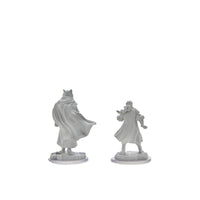 Critical Role Unpainted Miniatures: Male Human Sorcerer Merchant & Tiger Demon