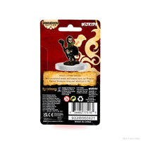 Pathfinder Battles: Premium Painted Figure - Male Gnome Druid