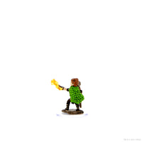 Pathfinder Battles: Premium Painted Figure - Male Gnome Druid