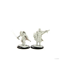 Pathfinder Deep Cuts: Human Champion Male
