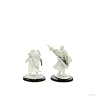 Pathfinder Deep Cuts: Human Champion Male