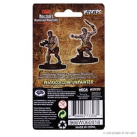D&D Nolzur's Marvelous Miniatures: Nameless One