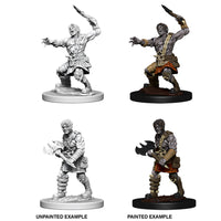 D&D Nolzur's Marvelous Miniatures: Nameless One