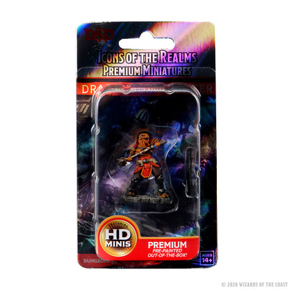 D&D Icons of the Realms Premium Figures: Male Dragonborn Fighter - 1
