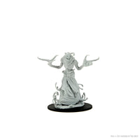 (DING & DENT) Dungeons & Dragons Nolzur's Marvelous Miniatures: Paint Night Kit #6 - Boneclaw
