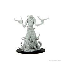 (DING & DENT) Dungeons & Dragons Nolzur's Marvelous Miniatures: Paint Night Kit #6 - Boneclaw
