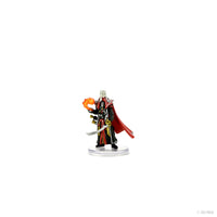 Pathfinder Battles: Advanced Iconic Heroes