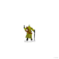 Pathfinder Battles: Advanced Iconic Heroes
