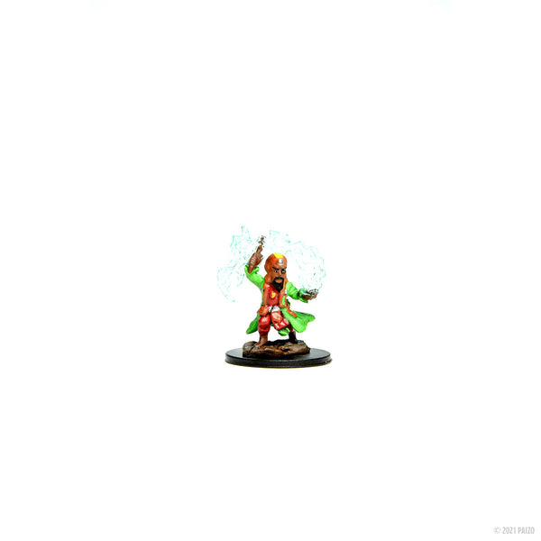 WizKids Pathfinder Deep Cuts™ Gnome Male Bard miniatura da dipingere