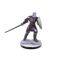 D&D Nolzur's Marvelous Miniatures: Reborn Paladin & Reborn Warlock