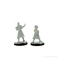 Magic: The Gathering Unpainted Miniatures: Rootha & Zimone