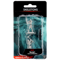 D&D Nolzur’s Marvelous Miniatures: Skeletons