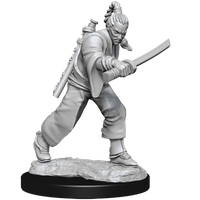 D&D Nolzur's Marvelous Miniatures - Male Human Monk