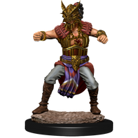D&D Nolzur's Marvelous Miniatures - Male Human Monk