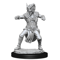 D&D Nolzur's Marvelous Miniatures - Male Human Monk
