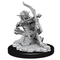 Pathfinder Battles Deep Cuts - Hobgoblin