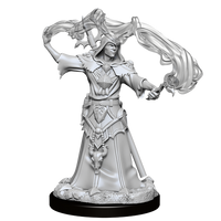 Pathfinder Battles Deep Cuts - Male Human Sorcerer