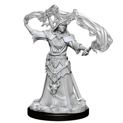Pathfinder Battles Deep Cuts - Male Human Sorcerer - 1