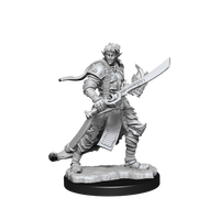 Pathfinder Battles Deep Cuts - Male Elf Magus (Magic User)