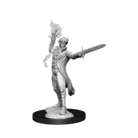 Pathfinder Battles Deep Cuts - Male Elf Magus (Magic User)