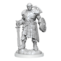 D&D Nolzur's Marvelous Miniatures: Earth Genasi Fighter