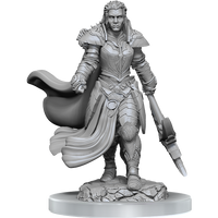D&D Nolzur's Marvelous Miniatures: Orc Fighter Female
